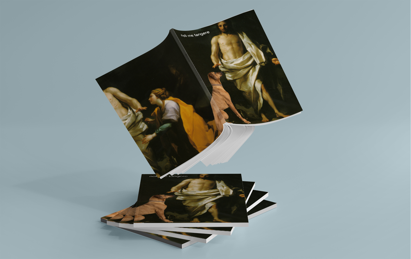 Fanzine Noli Me tangere Ambas Caras